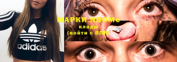хмурый Абаза