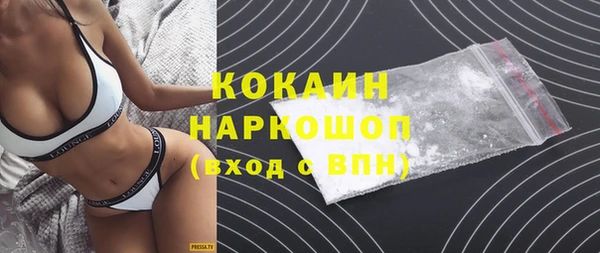 хмурый Абаза